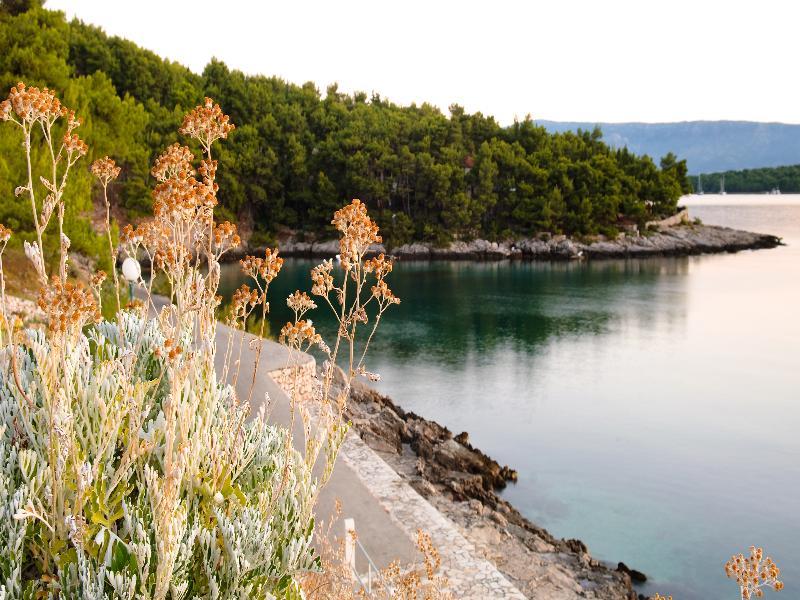 Apartmán Fontana Bayside Park Jelsa  Exteriér fotografie